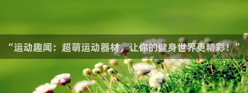 意昂平台体育：“运动趣闻：超萌运动器材，让你的健身世