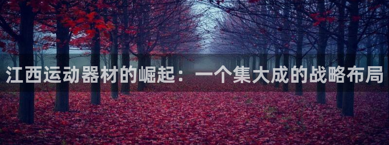 凯捷体育娱乐：江西运动器材的崛起：一个集大成的战略布局