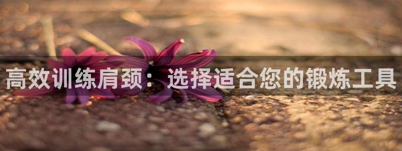 凯捷体育平台：高效训练肩颈：选择适合您的锻炼工具