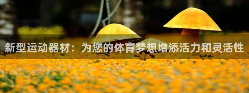 凯捷体育招商：新型运动器材：为您的体育梦想增添活力和灵活性