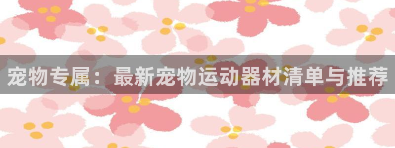 凯捷体育代理：宠物专属：最新宠物运动器材清单与推荐