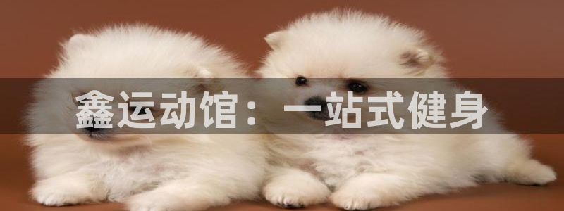 凯捷体育官网：鑫运动馆：一站式健身