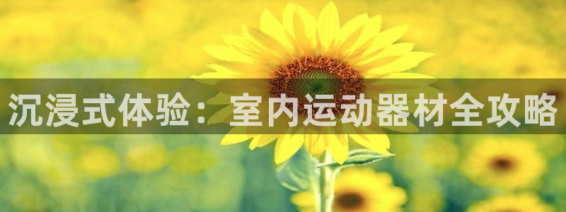 凯捷体育是干嘛的公司：沉浸式体验：室内运动器材全攻略