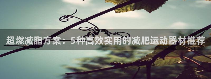 凯捷体育娱乐下载：超燃减脂方案：5种高效实用的减肥运动器材推