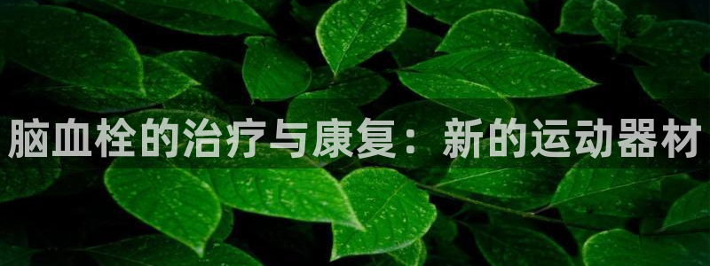 凯捷体育集团官网网址