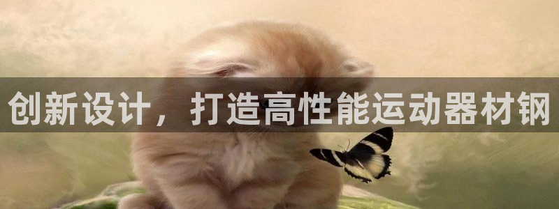 凯捷体育招商电话号码查询：创新设计，打造高性能运动器材钢