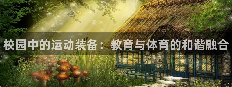 凯捷体育官方客服电话：校园中的运动装备：教育与体育的和谐融合