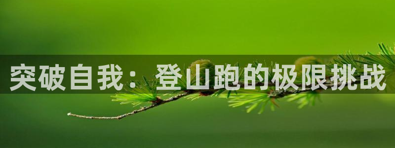 凯捷体育开户：突破自我：登山跑的极限挑战