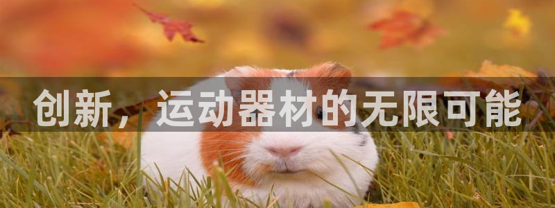 凯捷体育招商电话号码是多少啊：创新，运动器材的无限可能