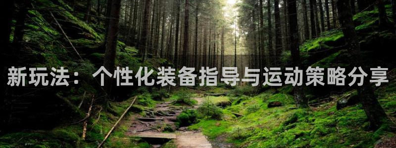 凯捷体育平台：新玩法：个性化装备指导与运动策略分享